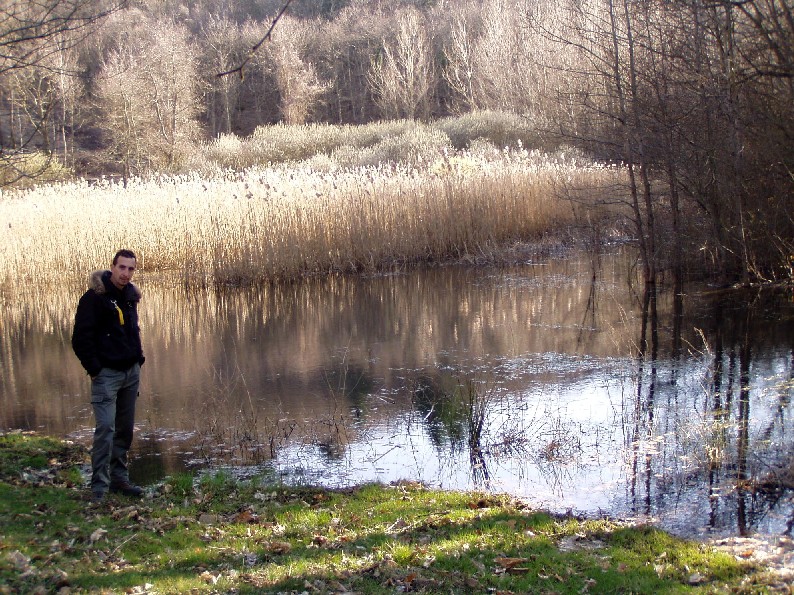 Laghetto di Montieri: biotopo meritevole!